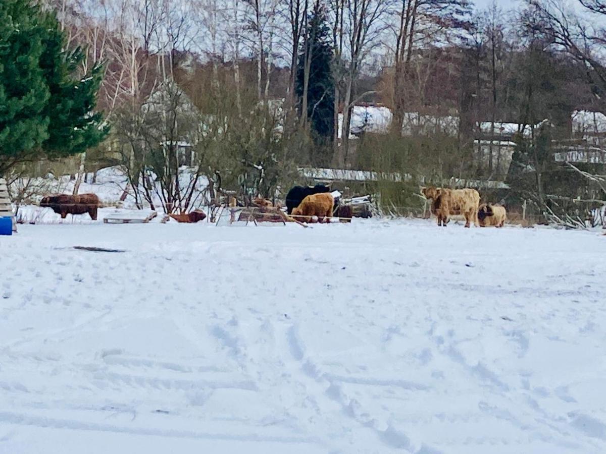 Ferienhaus Am Schwielochsee Zewnętrze zdjęcie
